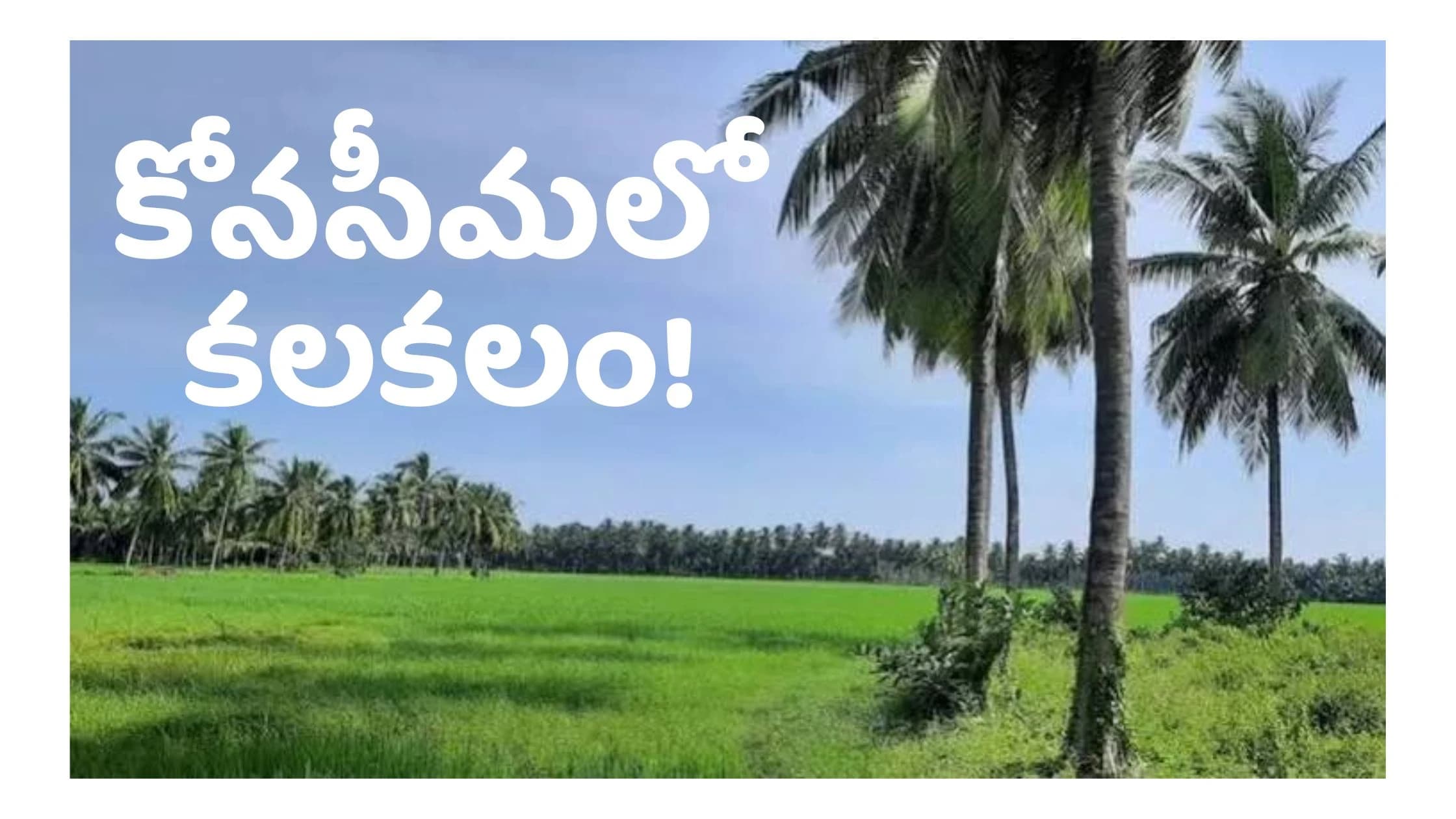 ప్రేమకు నిలయం కోనసీమలో దారుణం.. అనుమానంతో భర్తను హతమార్చిన భార్య!